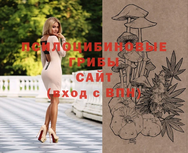 молекула духа Алексеевка