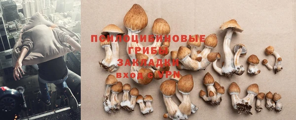 молекула духа Алексеевка