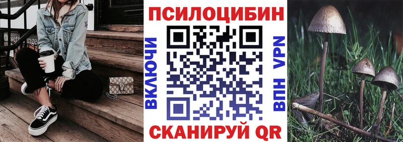 закладка  MEGA ссылки  Галлюциногенные грибы Psilocybe  Рубцовск 