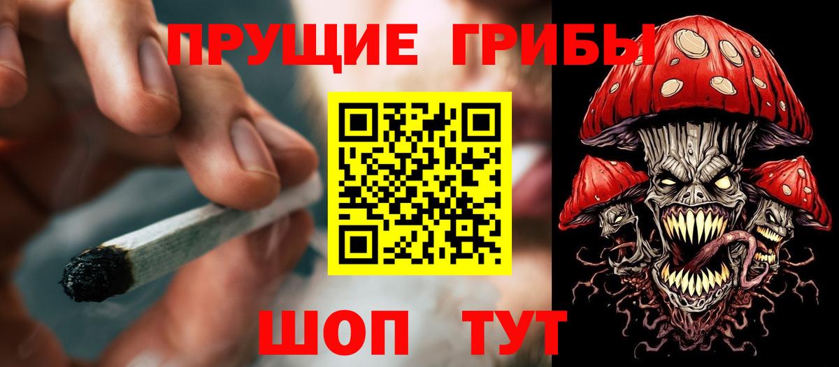 Галлюциногенные грибы MAGIC MUSHROOMS  Галлюциногенные грибы мухоморы  Рубцовск  даркнет сайт  Вход с VPN 